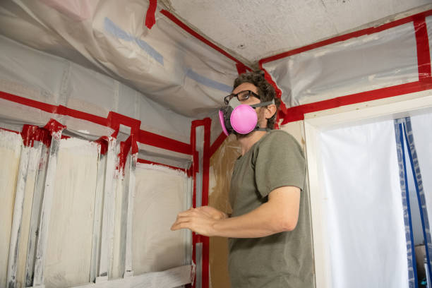 Millville, UT Mold Inspection, Removal & Remediation Company