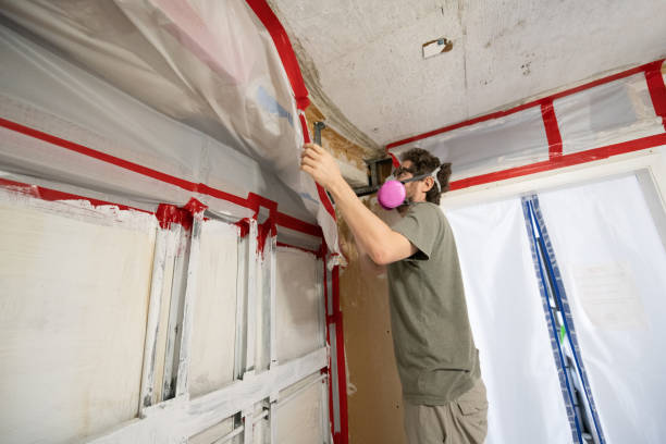 Best Mold Odor Removal Services  in Millville, UT